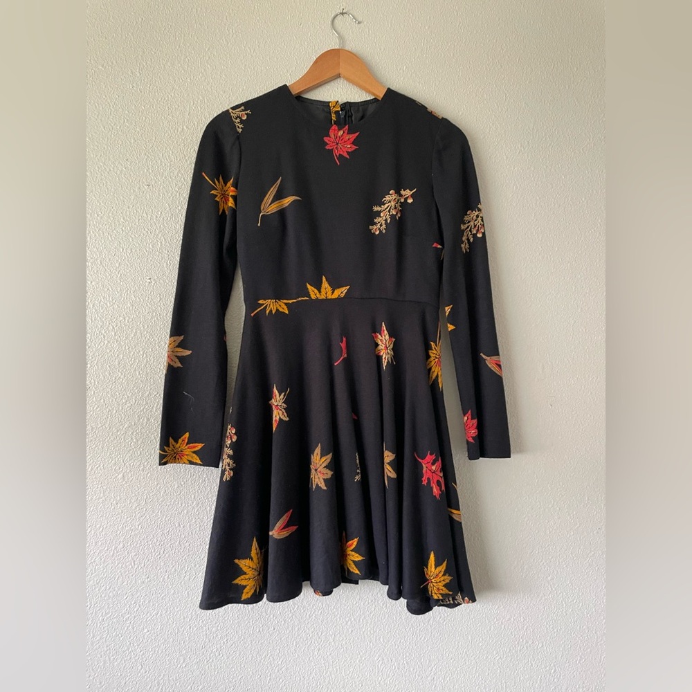 Vintage Fall Skater style dress